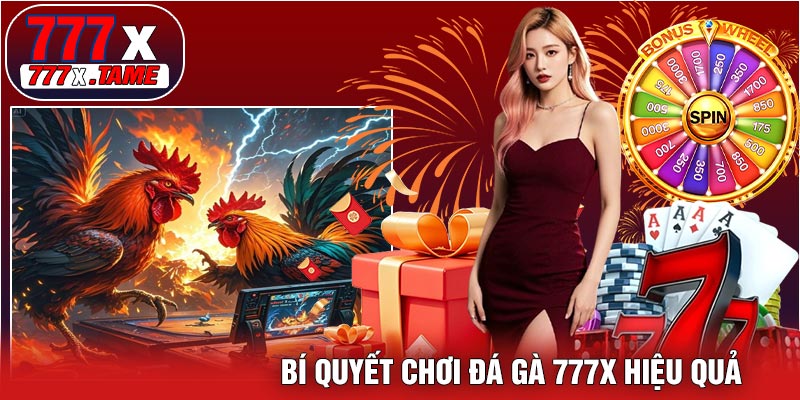 Bí Quyết Chơi Đá Gà 777X Hiệu Quả